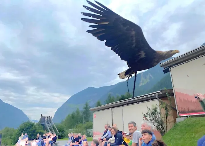 Daire Annabell Habichen